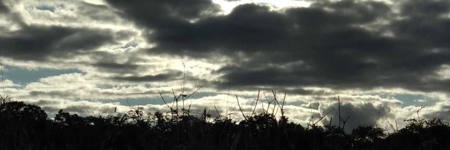 Pedroissoai's profile banner image
