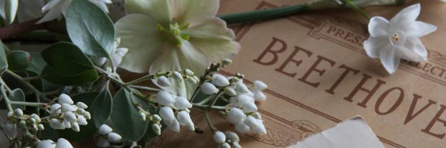 MonyGlezC's profile banner image