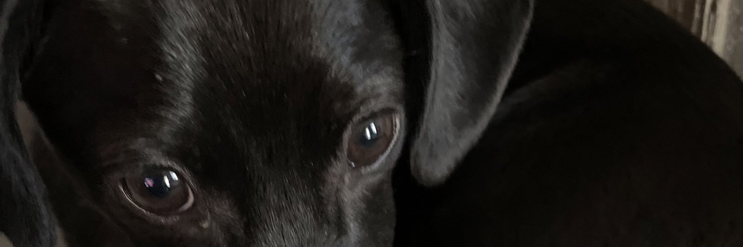 legendfollower's profile banner image