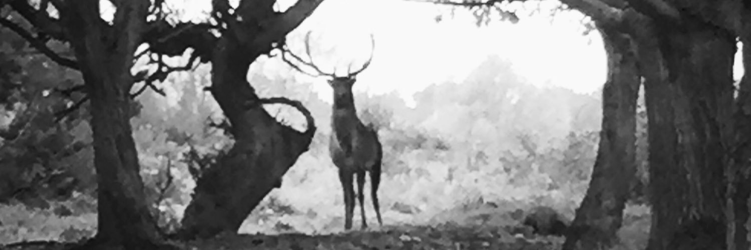 jajlpjj's profile banner image