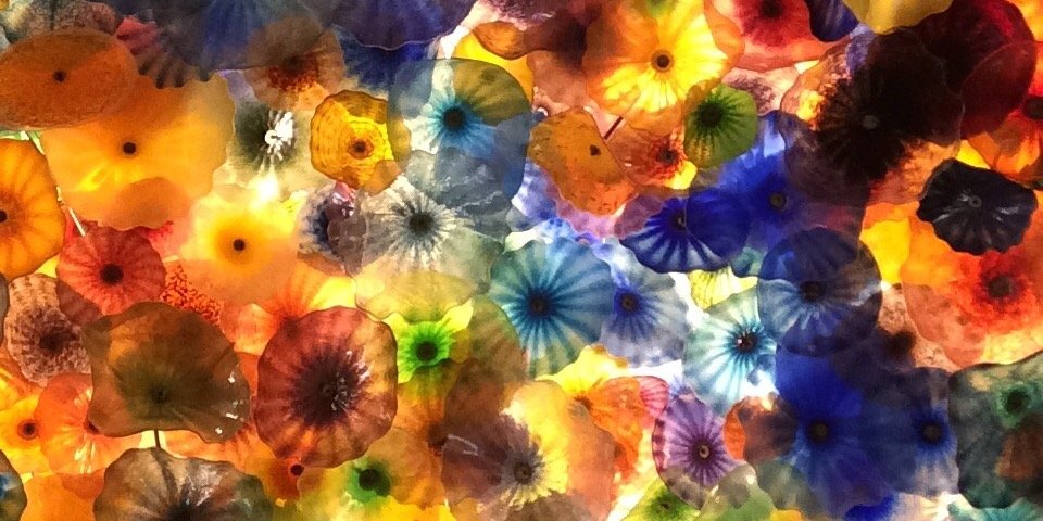 Laila_Lec's profile banner image