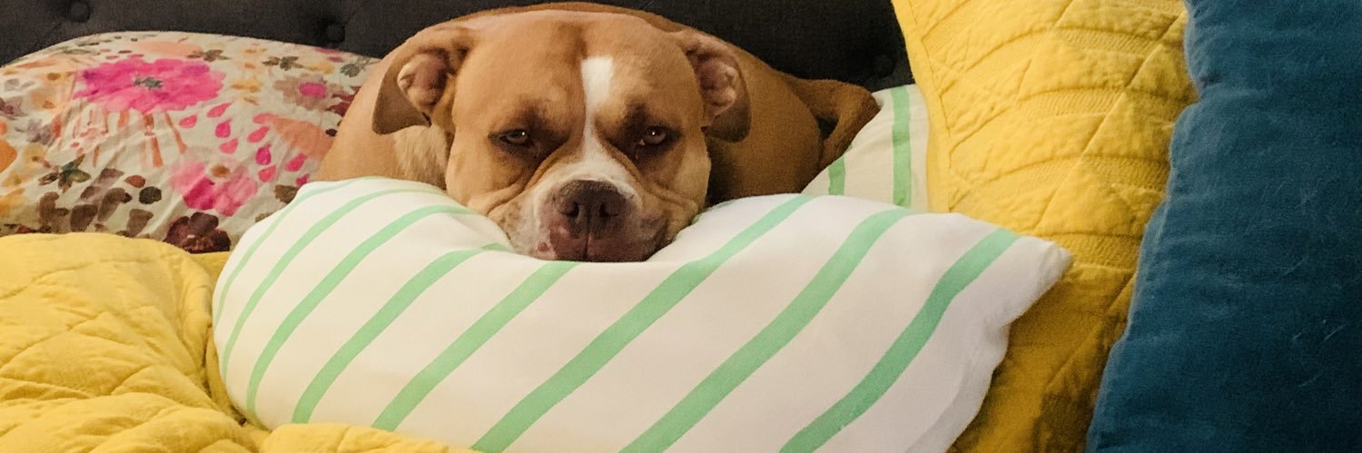 Krestin banner