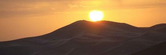 Mireya Oramas banner