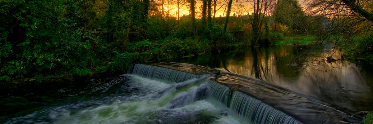 Alan Noonan Photo banner