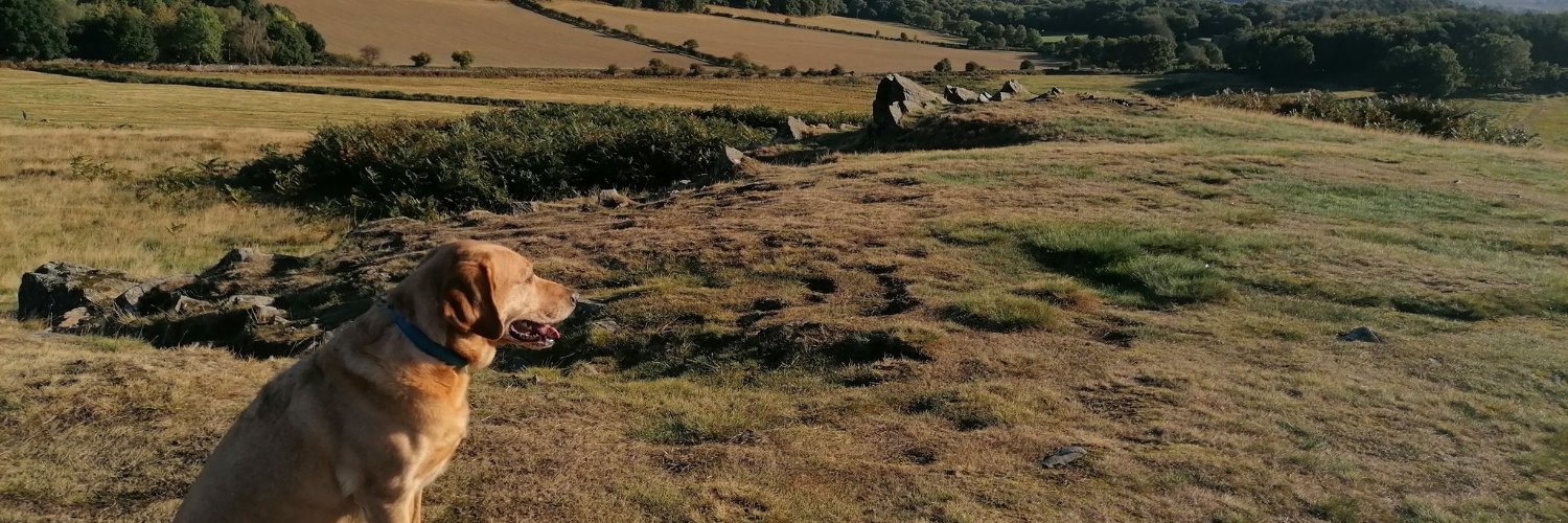 _KieranOConnor_'s profile banner image