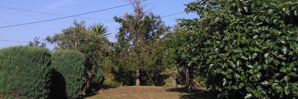 maripilimos Profile Banner