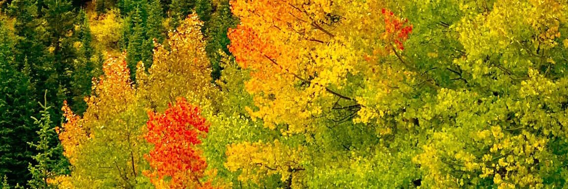 KristenR4's profile banner image