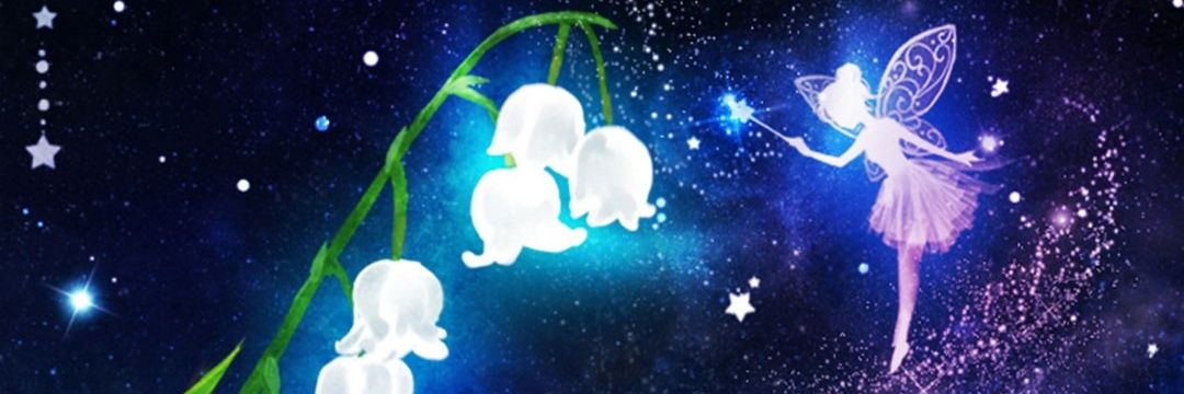 chikarucchi's profile banner image
