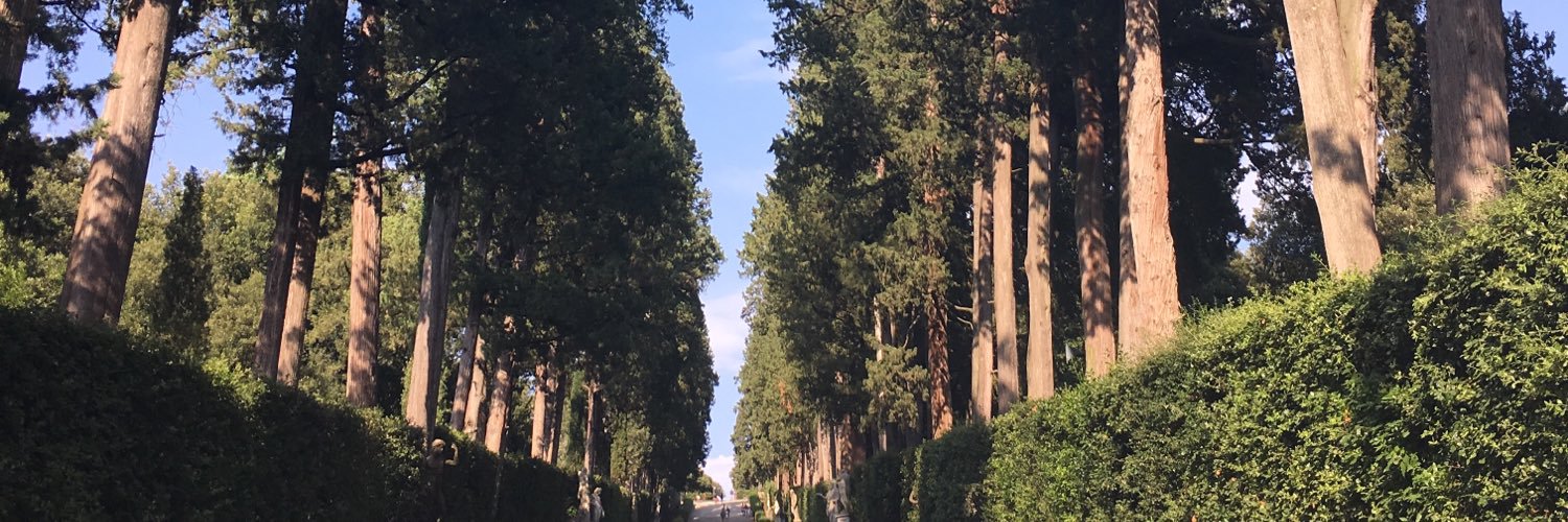 LBlakelyS's profile banner image