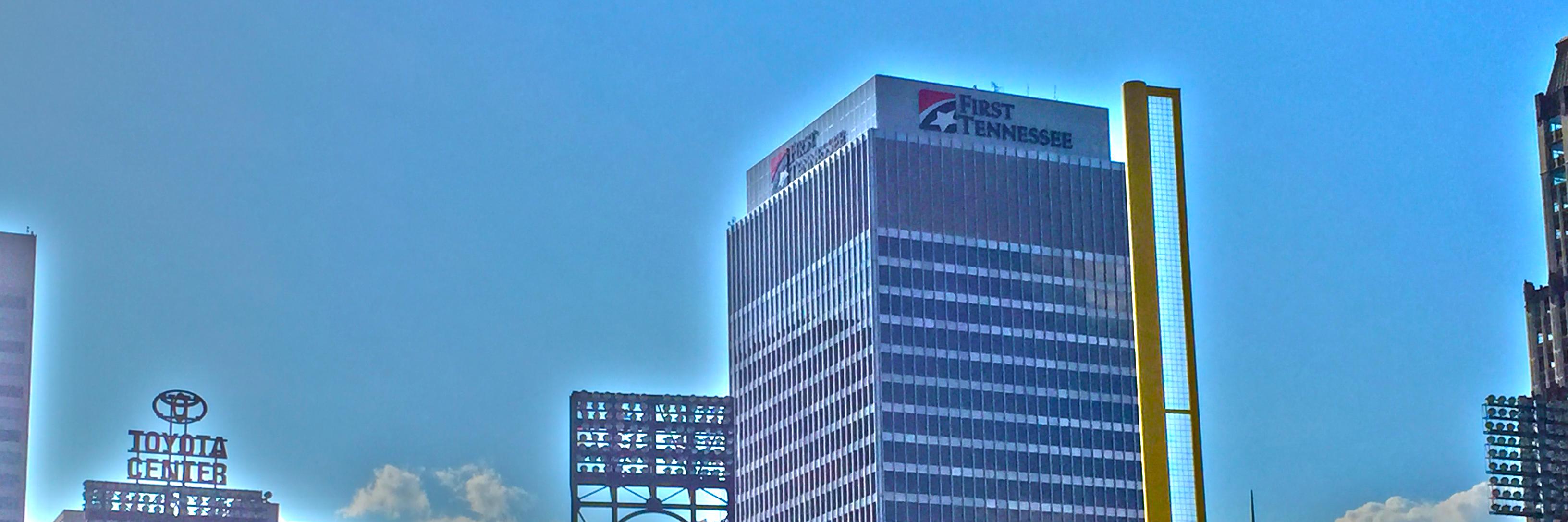HiddenRedbirds's profile banner image