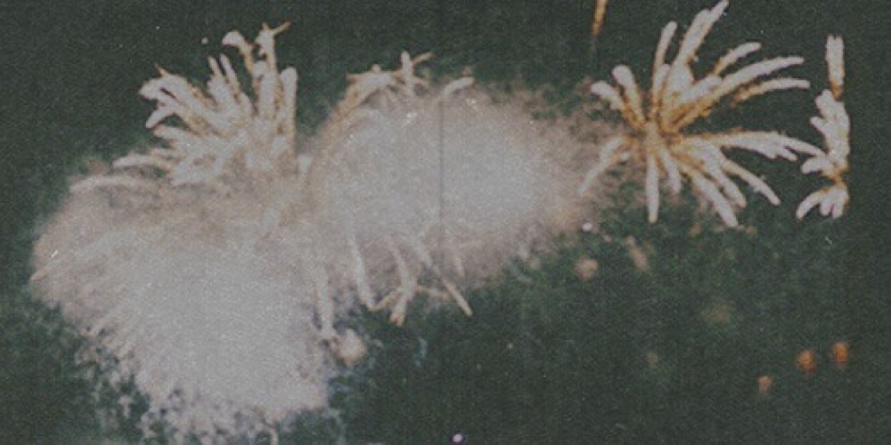 concussicn's profile banner image
