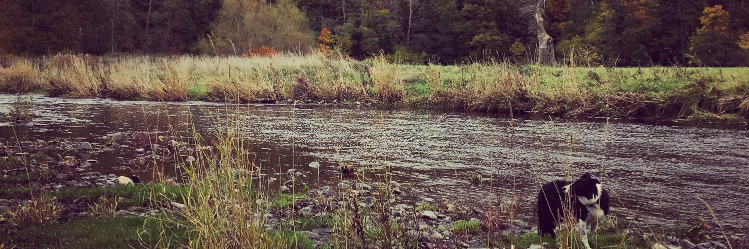 Sam_Glanllyn's profile banner image