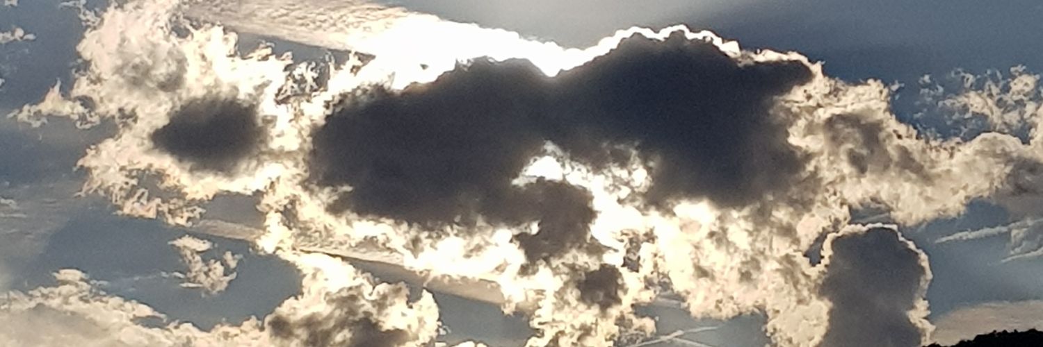 jensege's profile banner image