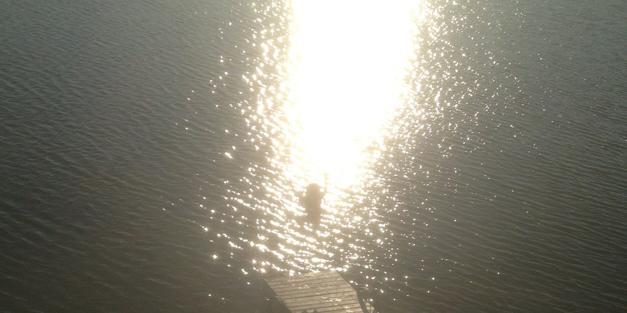 Steven Nielsen banner