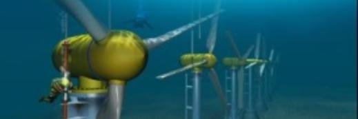 David P. Blankenship banner