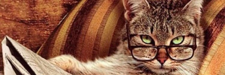 JoBraif's profile banner image