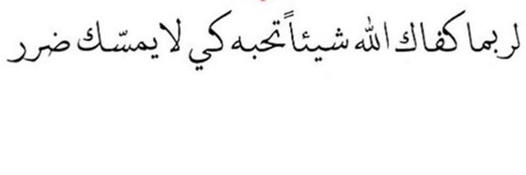 toma1599's profile banner image