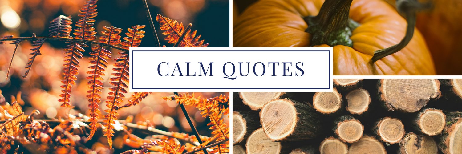 calmquote's profile banner image