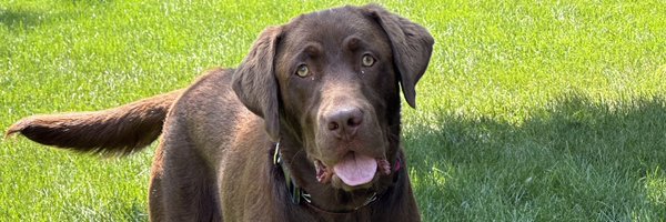 Rileycarlstud52 Profile Banner