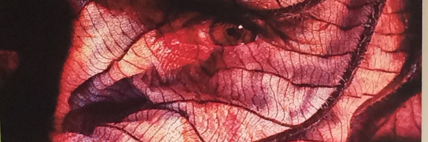 Ariel Nuńez banner