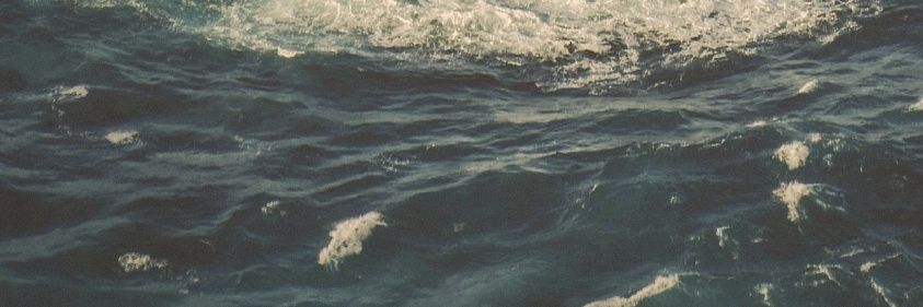 Marcos Dosantos banner