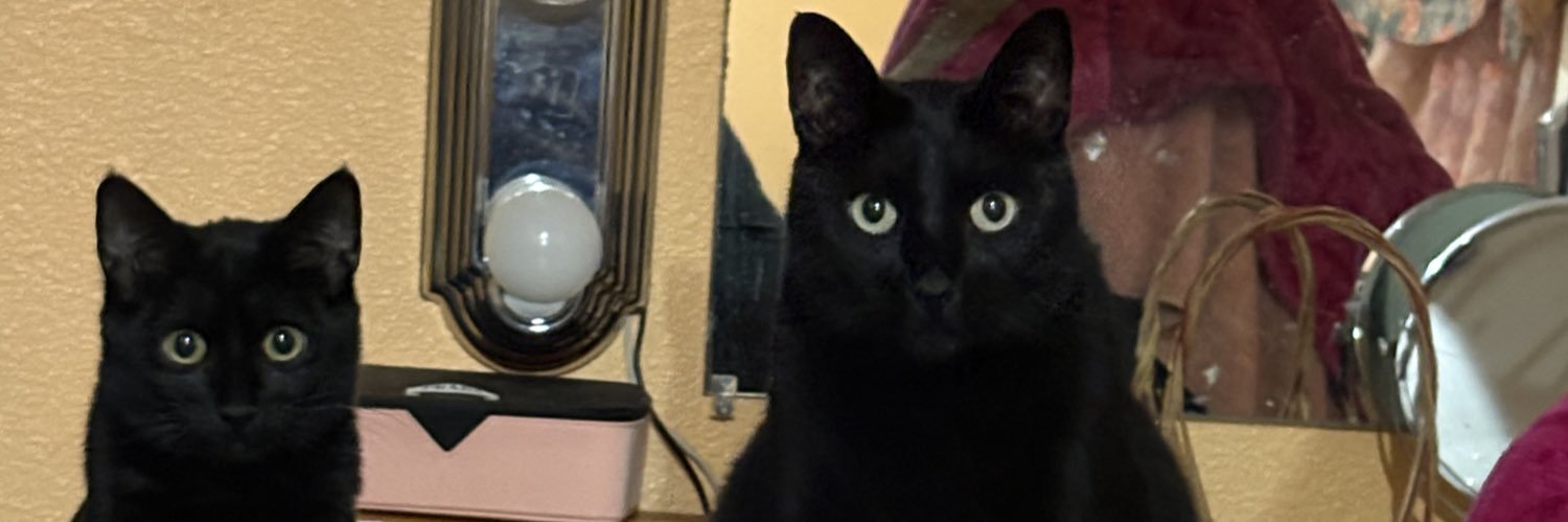 jaaasmin0's profile banner image