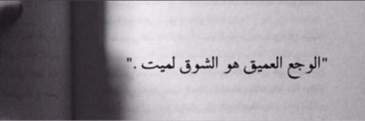 d__haya's profile banner image