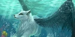 white_wolf22's profile banner image