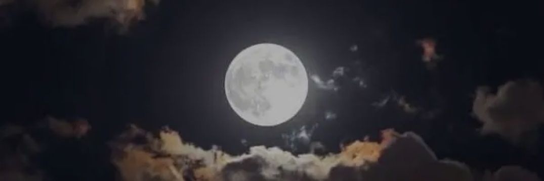 alanig_o's profile banner image