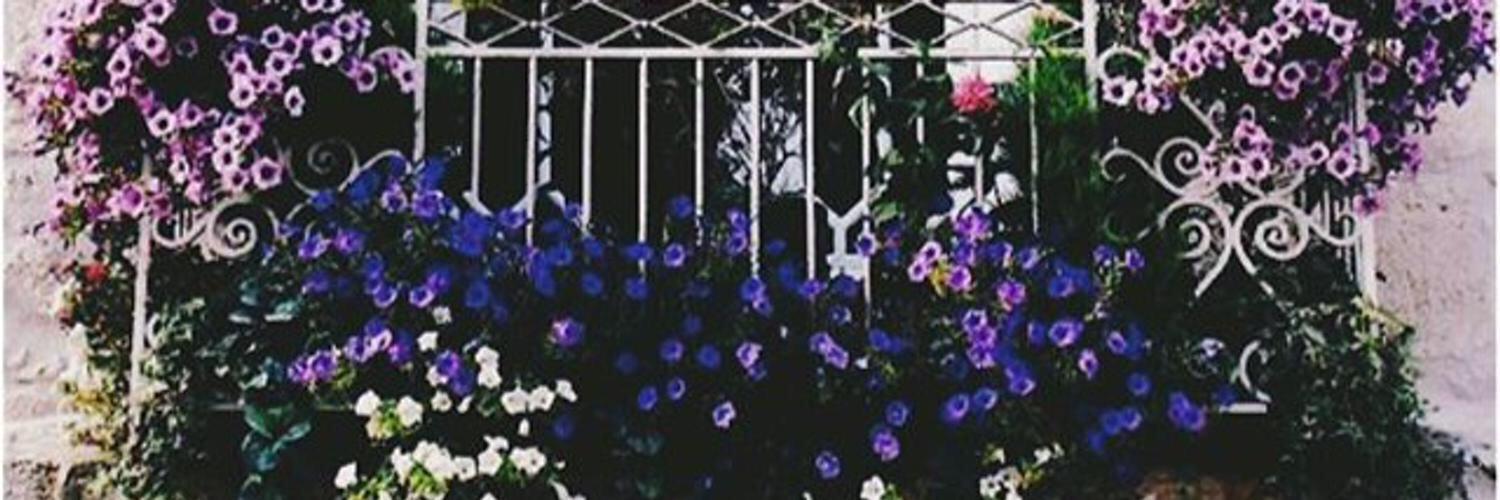 Dlei75's profile banner image