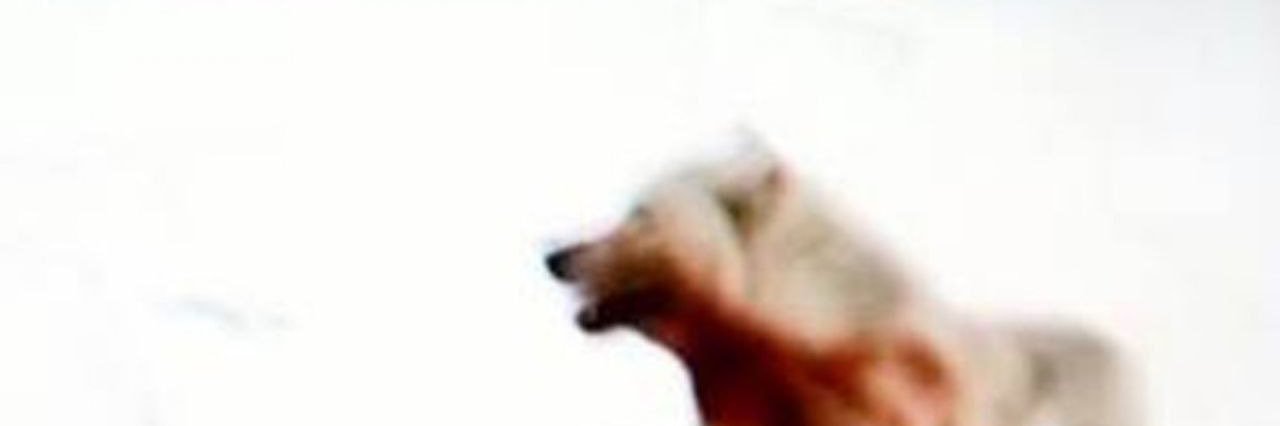 deztopia's profile banner image