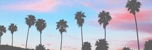 runcmf2's profile banner image