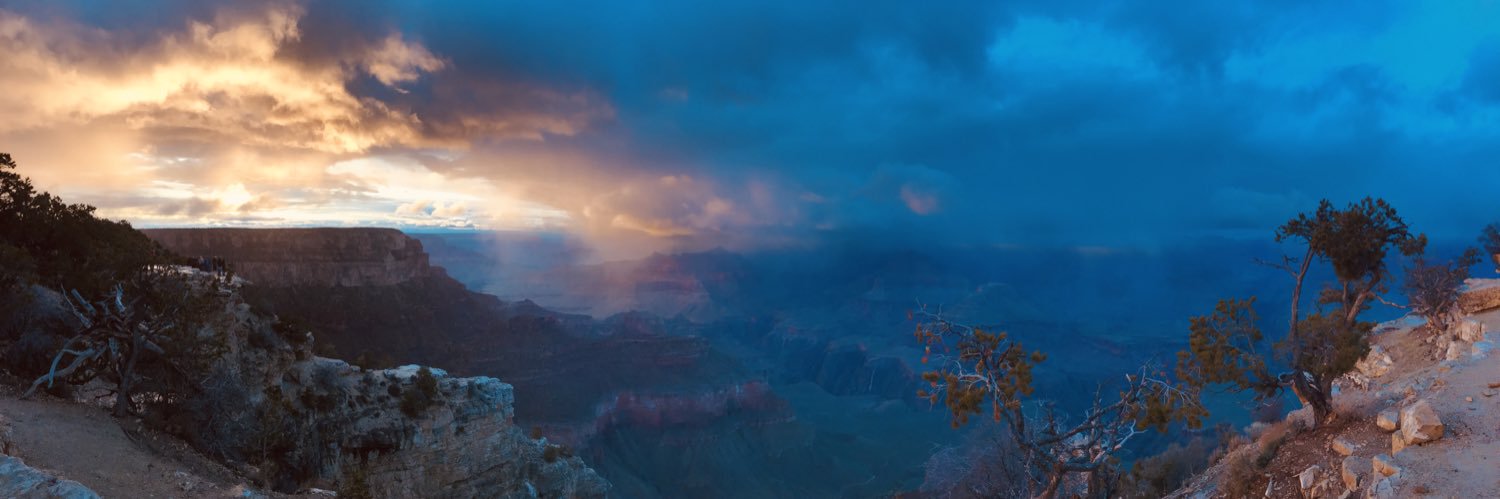 Megan Westervelt banner