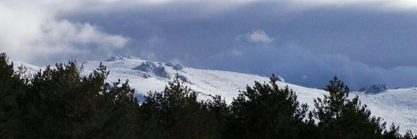 MinervaOso Profile Banner