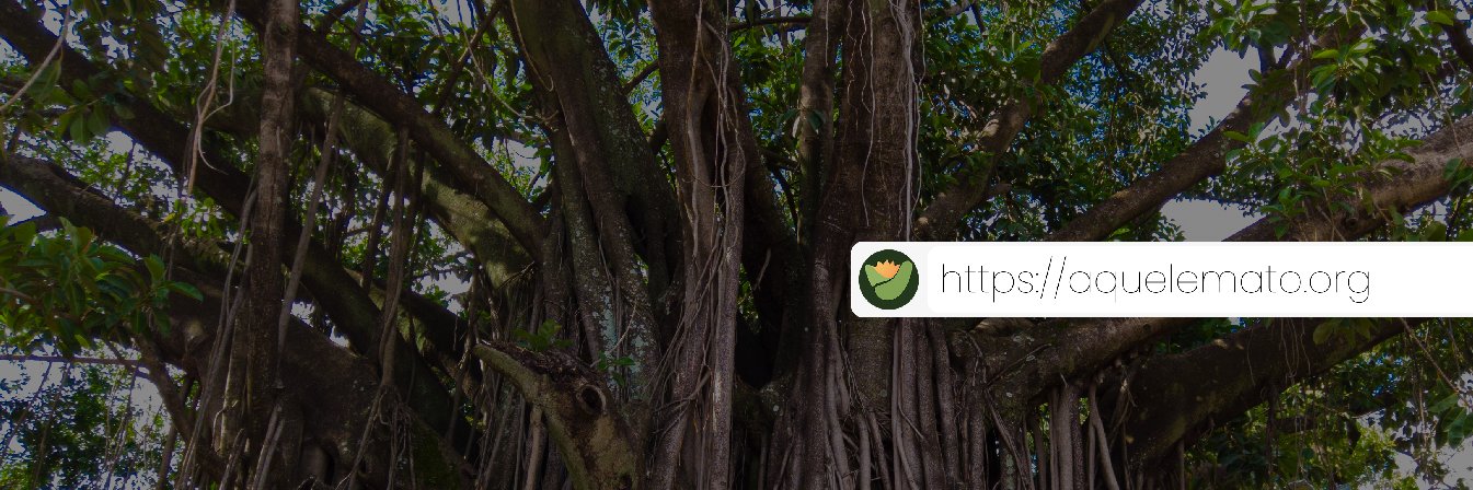 Aquele Mato banner