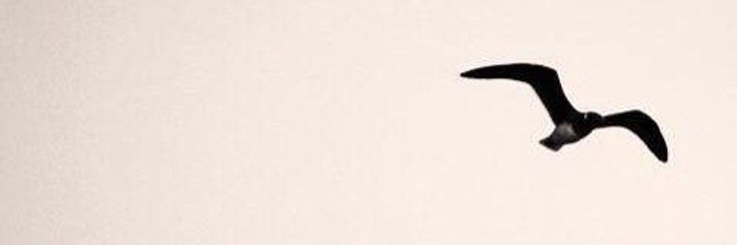 bd_606's profile banner image