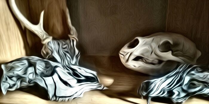 ryanblue55's profile banner image