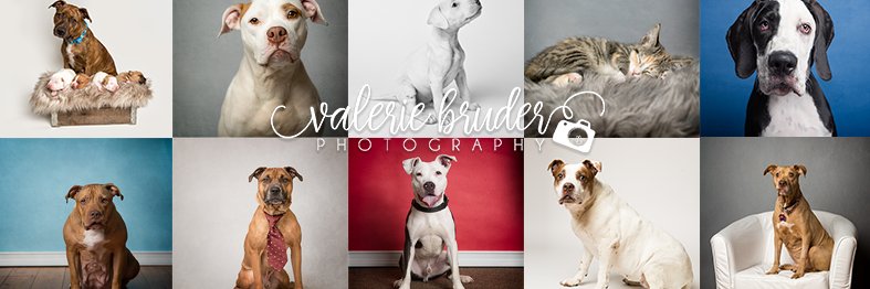 ValBruderPhoto's profile banner image