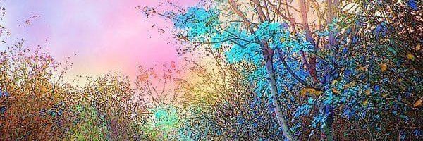 CGBailey4's profile banner image