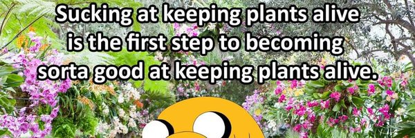 KeyboardBarbie Profile Banner