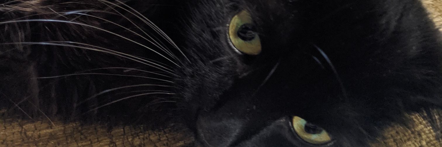 sandoom123's profile banner image