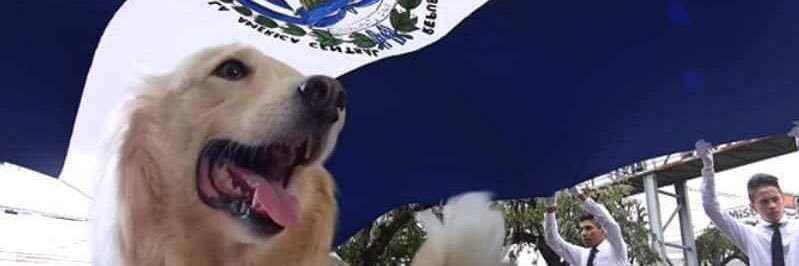 Alxcastillo503's profile banner image