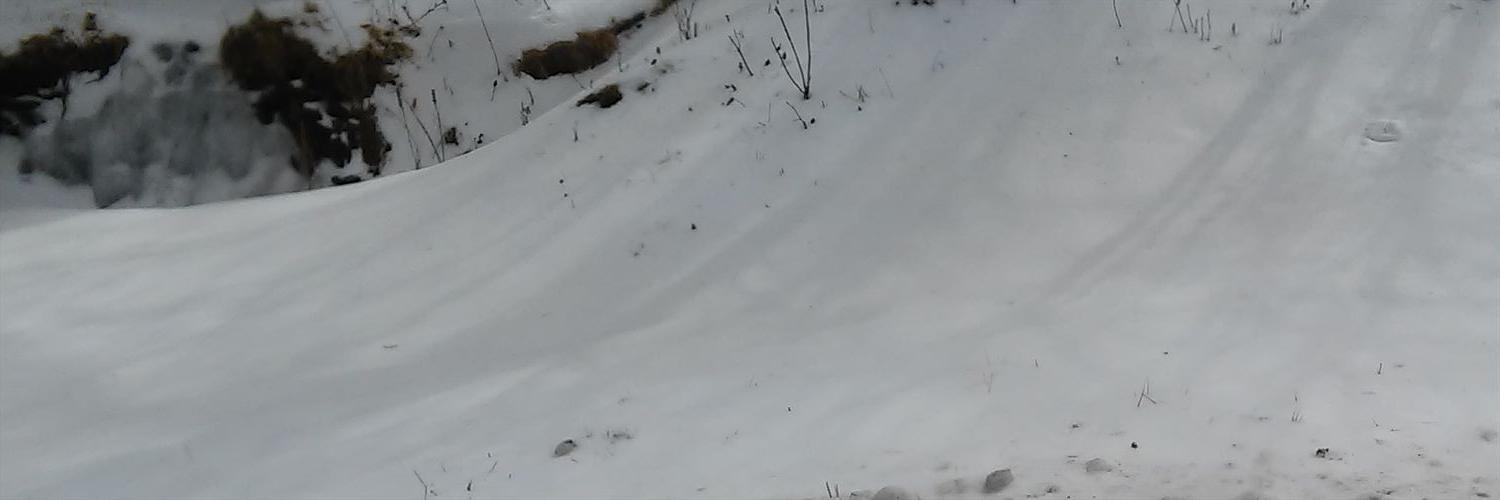 jopin576's profile banner image