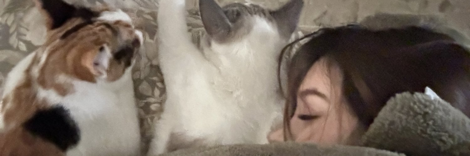 michellerbls's profile banner image