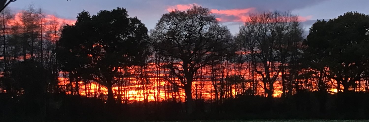 Corrie Watson 🏴󠁧󠁢󠁳󠁣󠁴󠁿🇪🇺 banner