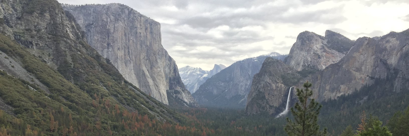 stephinthewild's profile banner image