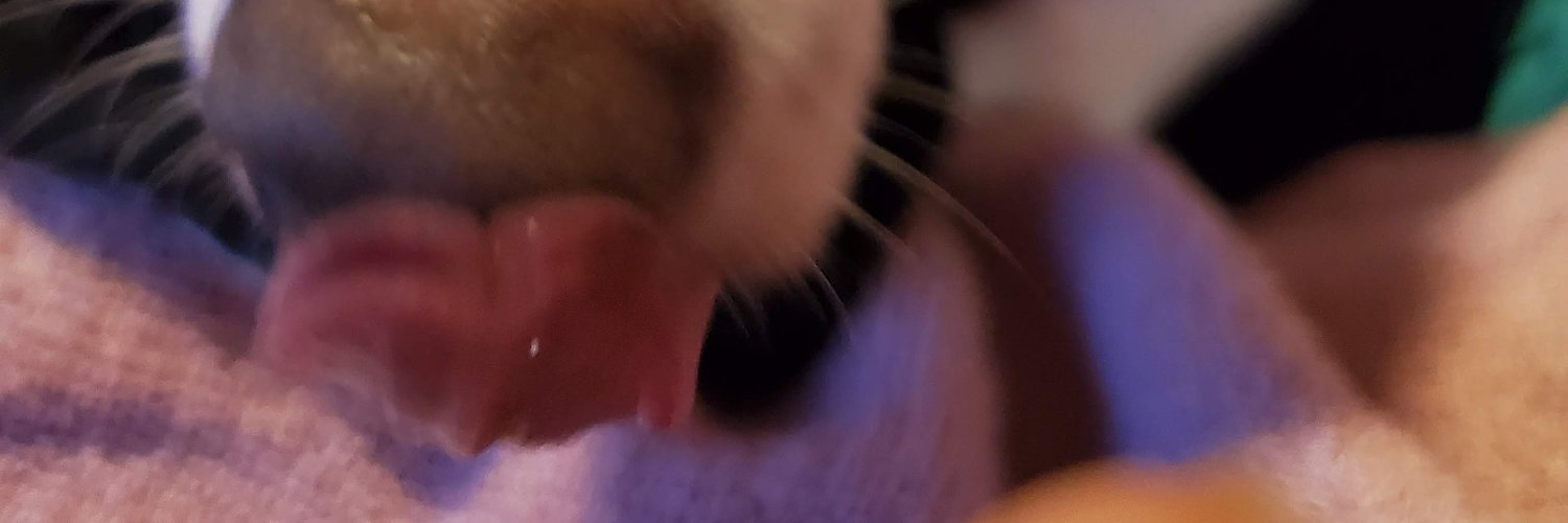 billybarnes's profile banner image