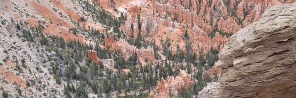 scottsinc Profile Banner