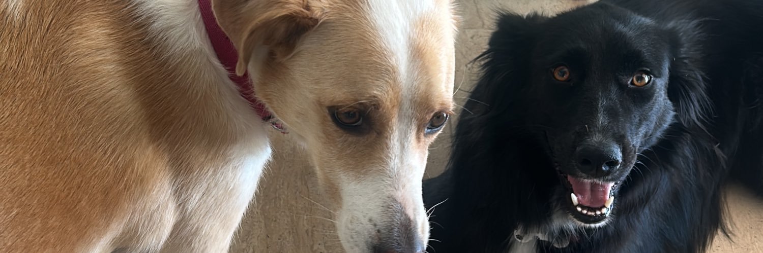 AgusBenzoAM's profile banner image