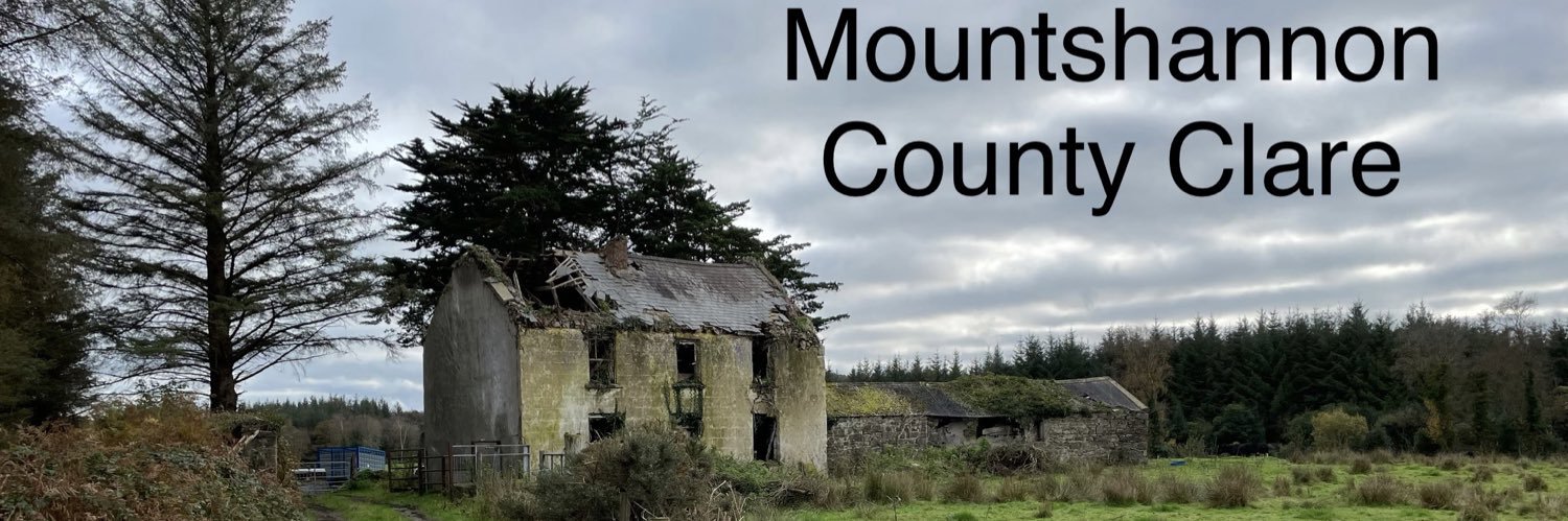 SheilaMS 🦕 banner